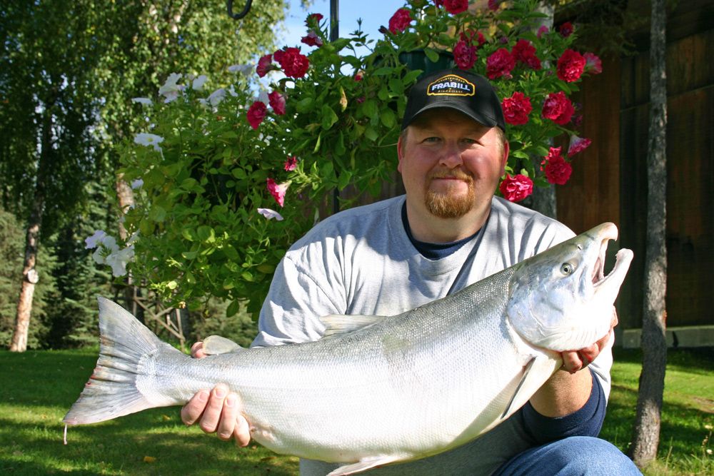 Kenai River Silver Salmon alaska